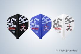 Ricardo Perez Ibarra - Cosmo Darts Signature Fit Flights – NineDartOut